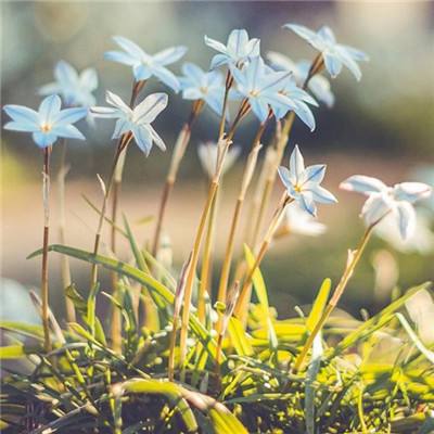 爱游体育APP官方入口