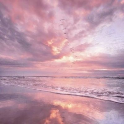 金沙app下载官网