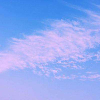 BSportAPP在线登录