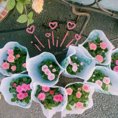 太阳集团电子游戏