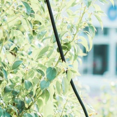 大众彩票app最新版下载